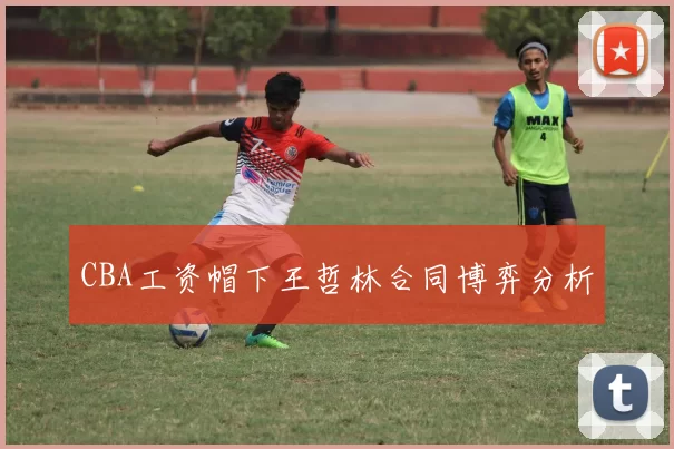 CBA工资帽下王哲林合同博弈分析