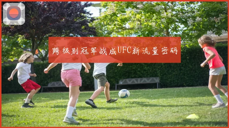 跨级别冠军战成UFC新流量密码