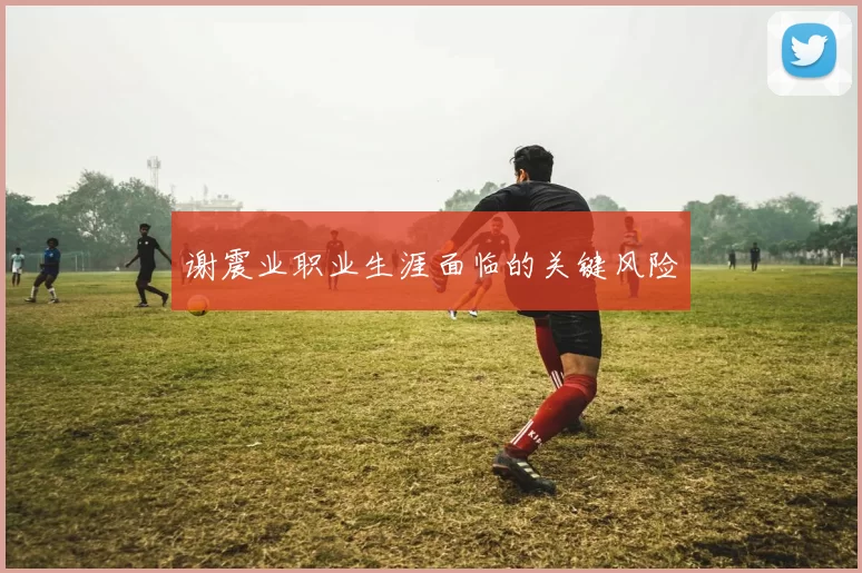 谢震业职业生涯面临的关键风险