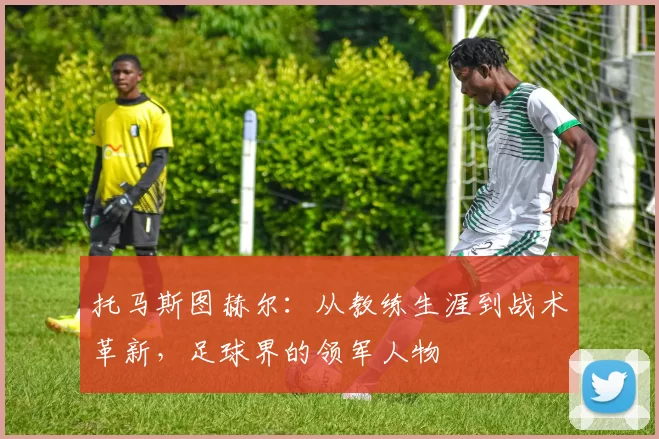 托马斯图赫尔：从教练生涯到战术革新，足球界的领军人物
