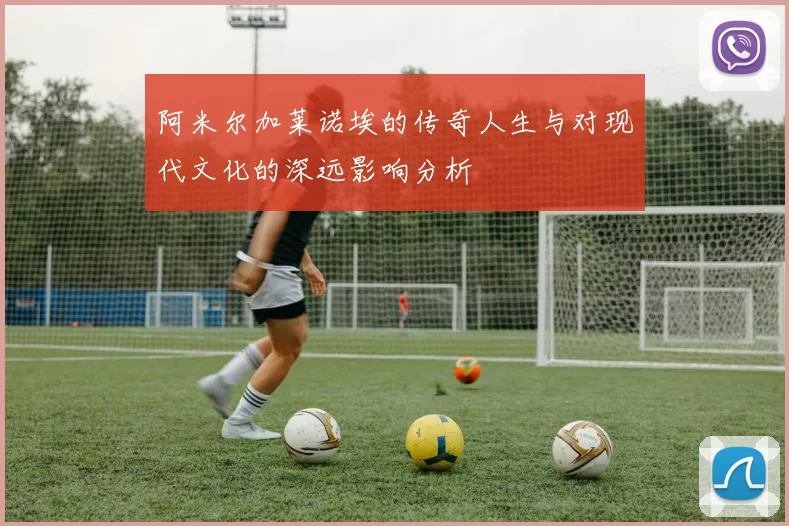 阿米尔加莱诺埃的传奇人生与对现代文化的深远影响分析