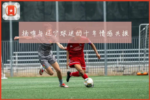 杨鸣与辽宁球迷的十年情感共振