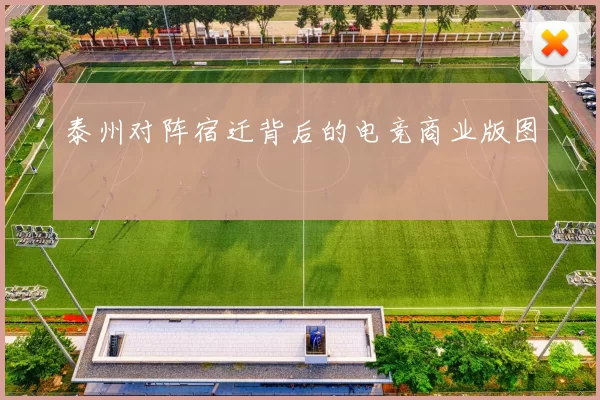 泰州对阵宿迁背后的电竞商业版图