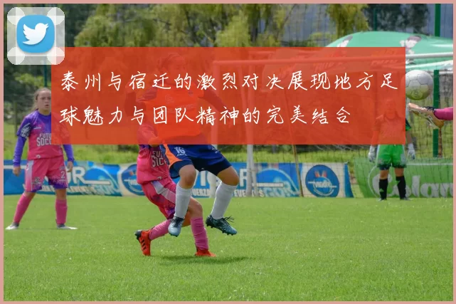 泰州与宿迁的激烈对决展现地方足球魅力与团队精神的完美结合