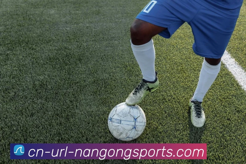 App Interface Preview