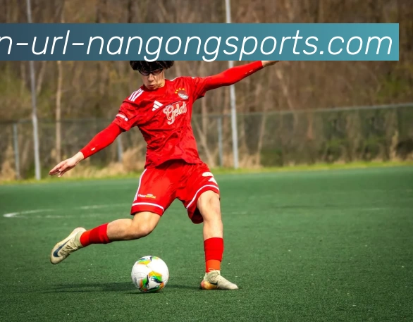 南宫体育APP 封面图